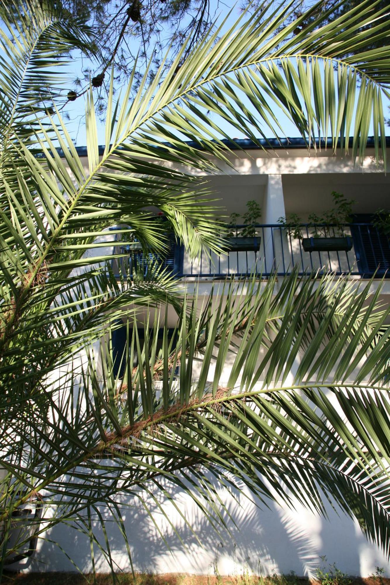 Hotel Sali Exterior photo