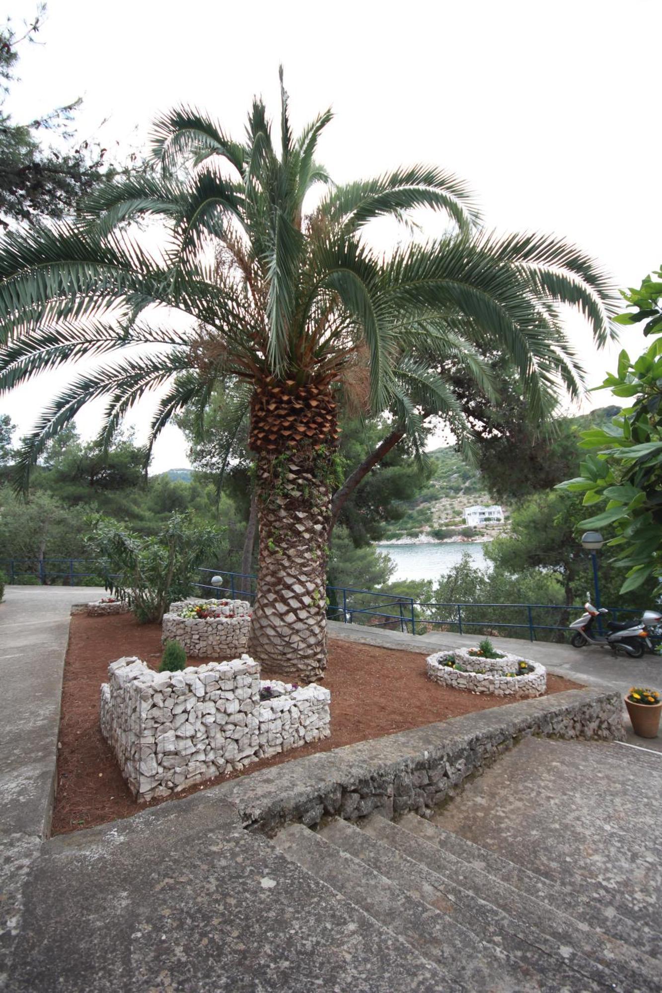 Hotel Sali Exterior photo